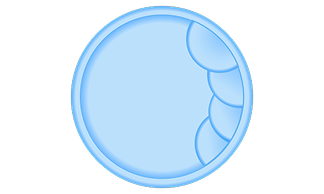 Купели