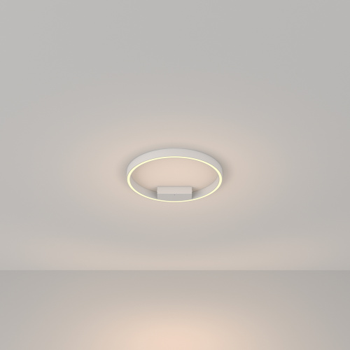 Потолочный светильник Rim в интернет-магазине MasterSPA