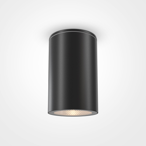 Потолочный светильник Roll в интернет-магазине MasterSPA