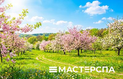 С наступающими майскими праздниками!